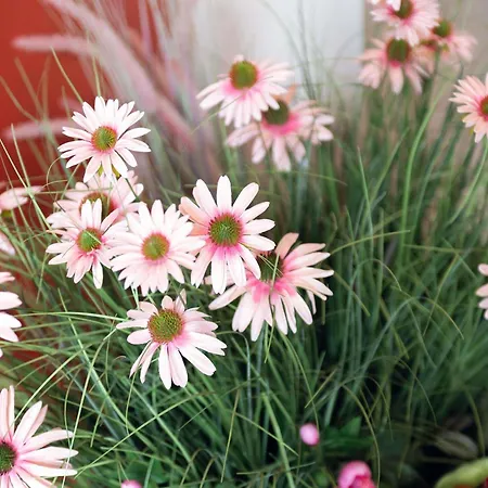 酒店 Ibis Styles Batignolles